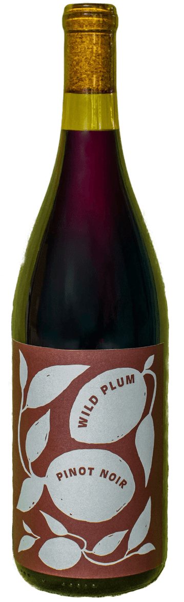Pinot Noir, Carneros bottle