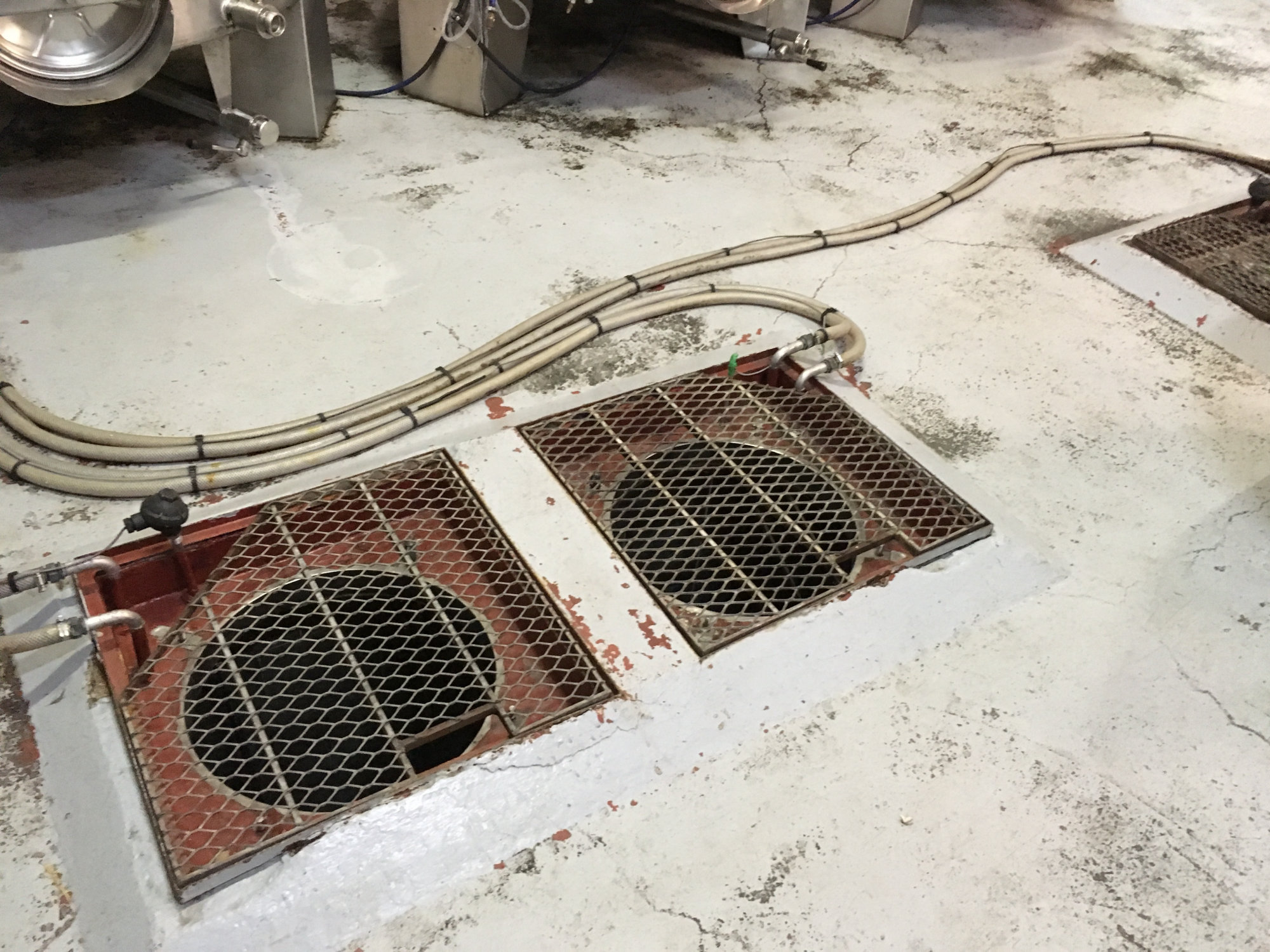 Floor-level metal mesh hatches covering underground concrete tanks at Domaine Basseville, with hoses running across a worn concrete cellar floor.