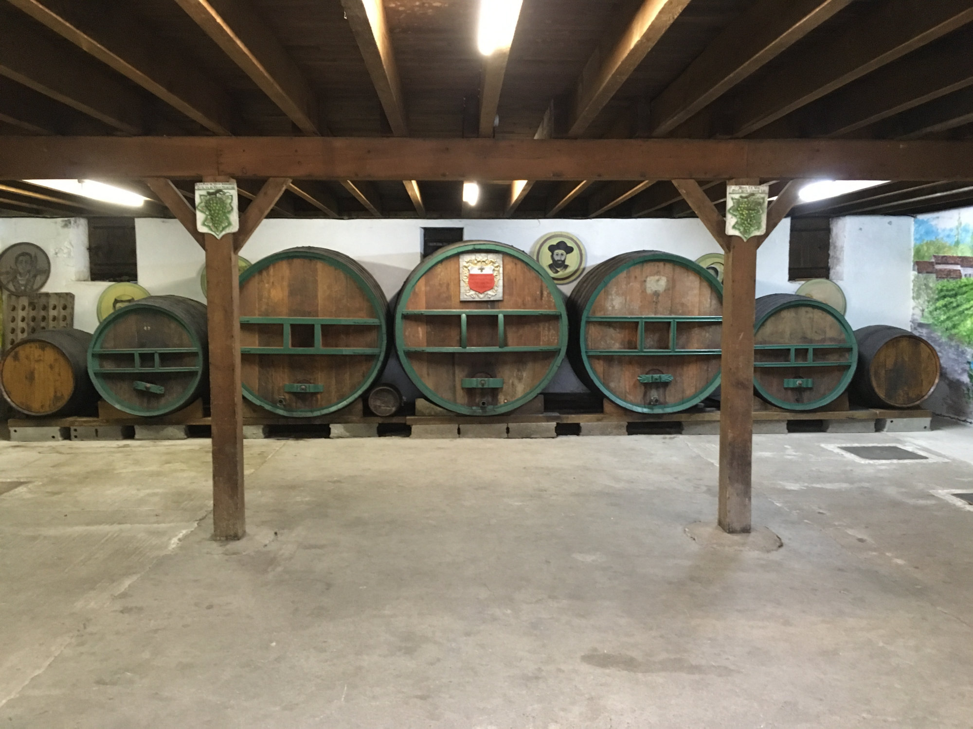 Row of large green-hooped oak foudres on wooden supports in a barrel cellar, with a coat-of-arms plaque mounted on the central barrel.