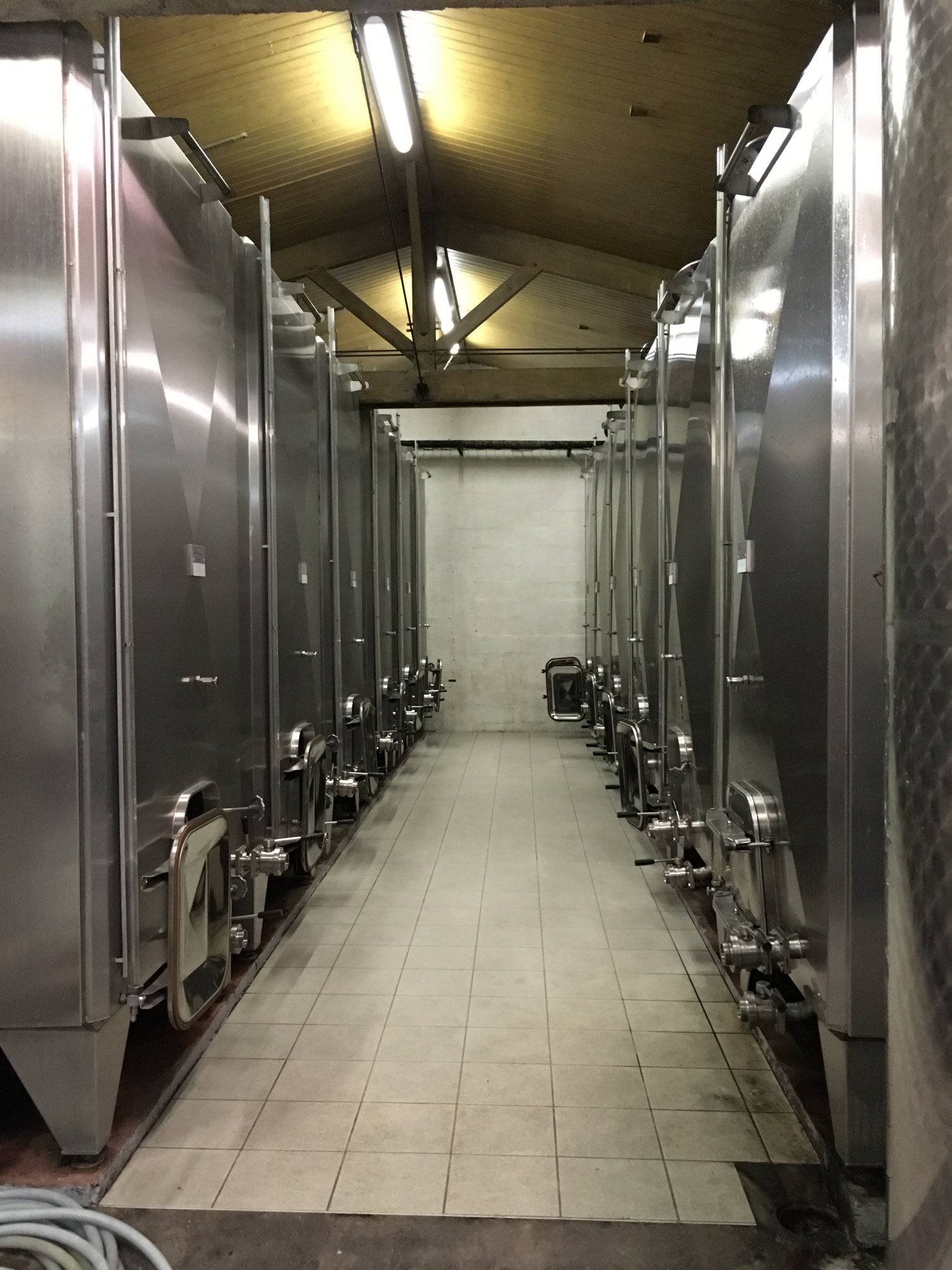 Rows of stainless-steel wine tanks lining a narrow cellar aisle at Domaine Basseville, under a vaulted wooden ceiling.