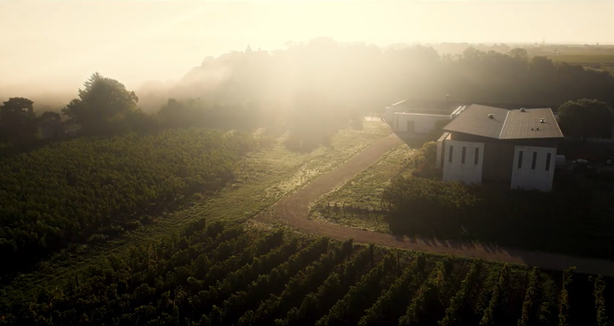 Aerial view of Domaine de Rocheville's vineyard estate at dawn, rows of vines stretching into misty light with a white winery building at right.
