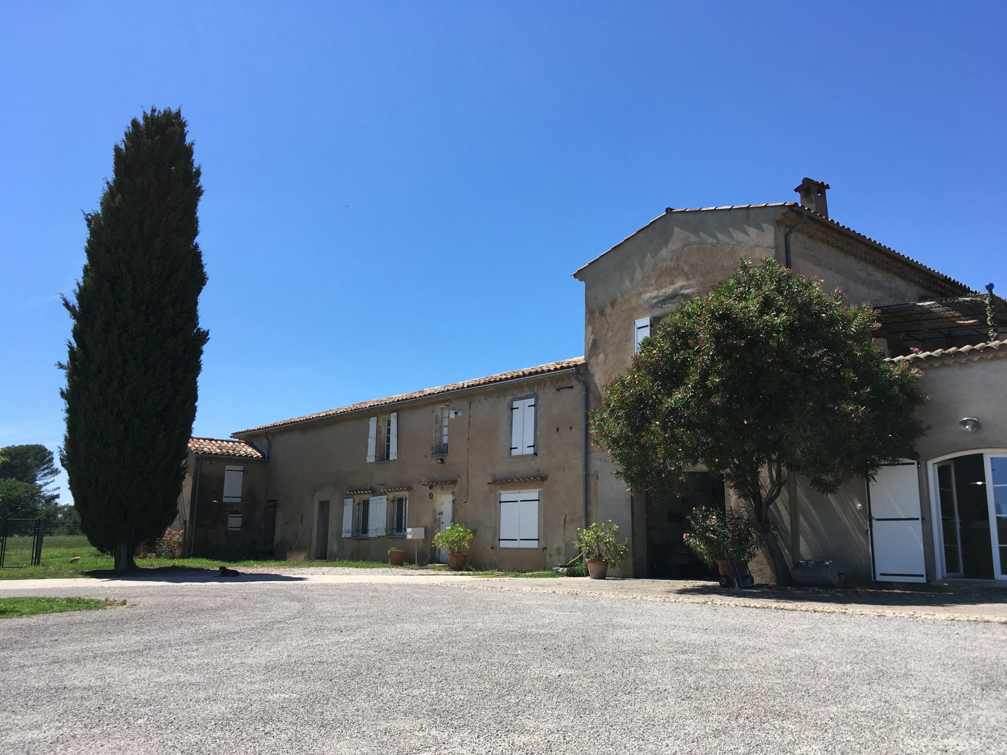 Stone farmhouse courtyard with cypress tree and tiled roofs, characteristic of a southern French wine domaine, on a clear sunny day.